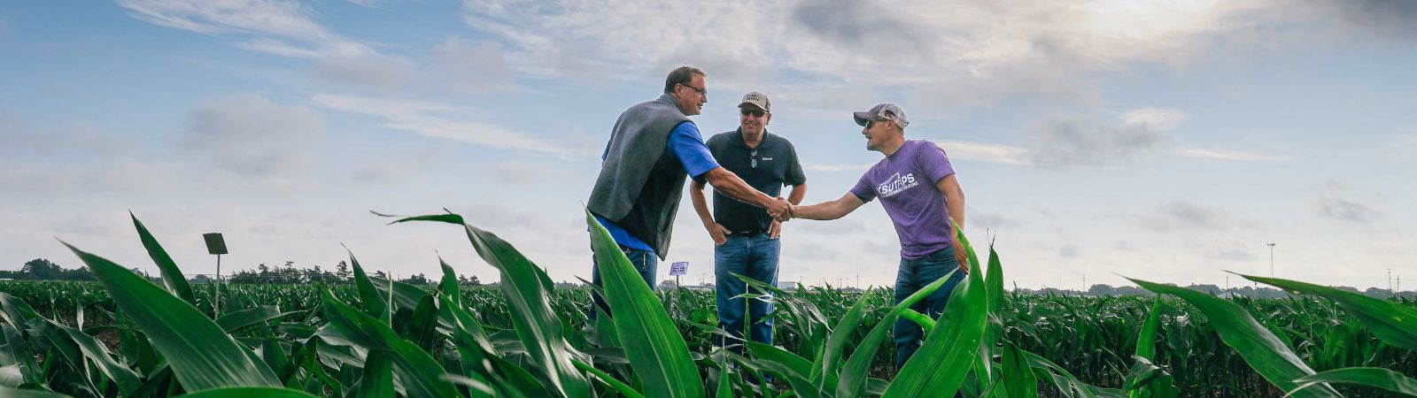irrigation pivot in western Kansas at sunset