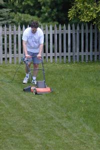 Mowing Yard