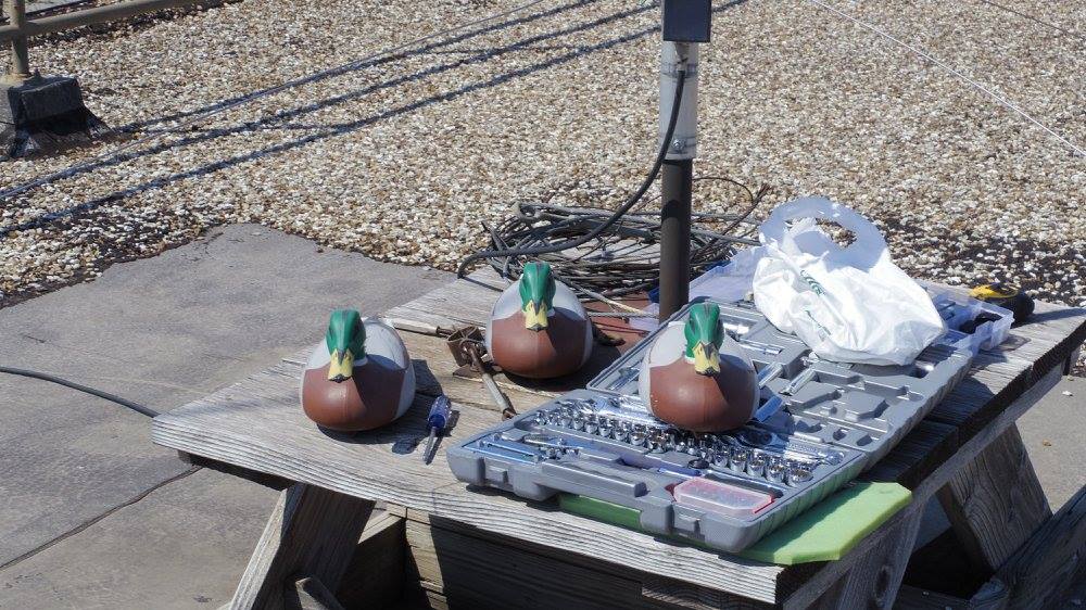 Duck decoys on a picnic table