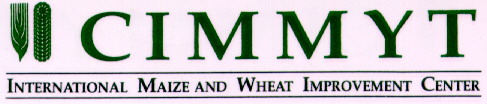 CIMMYT logo