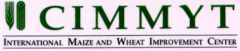 CIMMYT