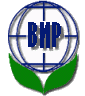 BMP